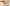Mein Hund stinkt: Woher kommt der Geruch und was hilft?